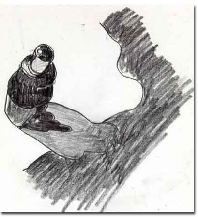 brown bottle study from CCA