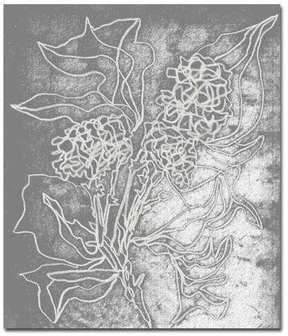 flower study/ drawing