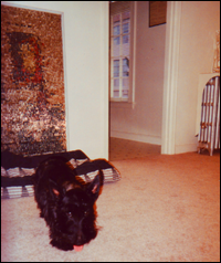 MacDuff bouncing around