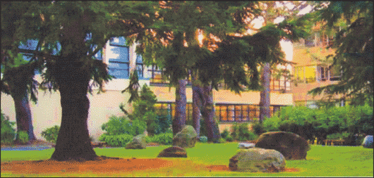 MAEd program at San Francisco State University
