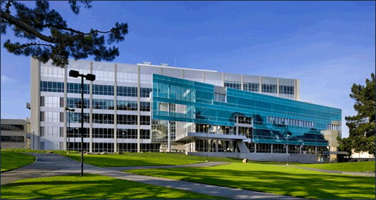 Technical and professional writing program, College of Liberal and Creative Arts