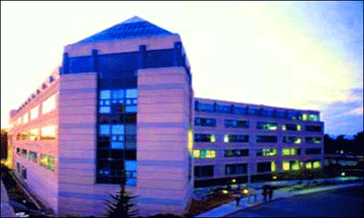 Technical and professional writing program, College of Liberal and Creative Arts