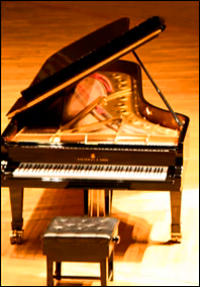 Hamburg Steinway D concert grand